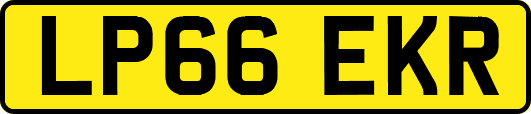 LP66EKR