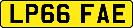 LP66FAE