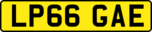 LP66GAE