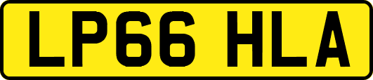 LP66HLA
