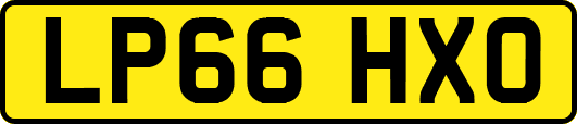 LP66HXO