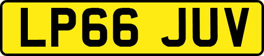 LP66JUV