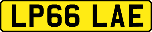 LP66LAE