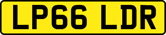 LP66LDR