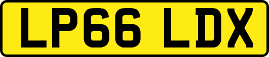 LP66LDX