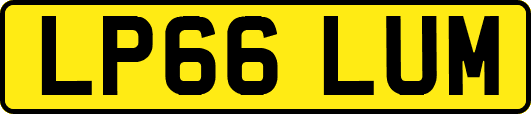 LP66LUM
