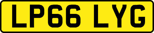 LP66LYG