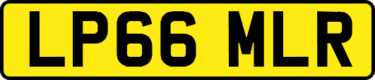 LP66MLR