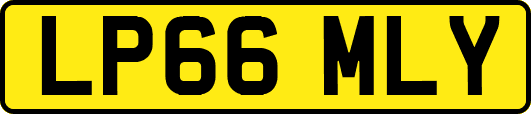 LP66MLY