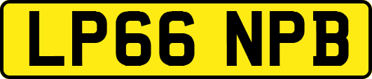 LP66NPB