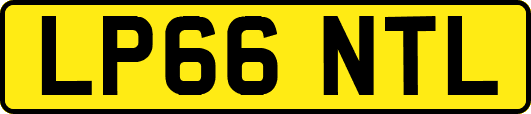 LP66NTL