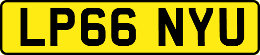LP66NYU