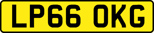 LP66OKG
