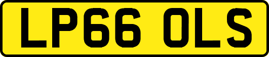 LP66OLS