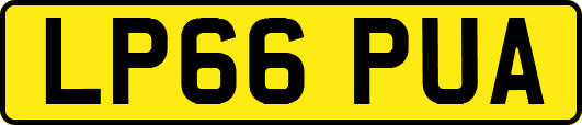 LP66PUA