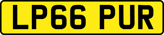 LP66PUR