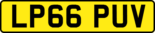 LP66PUV
