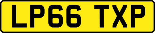 LP66TXP