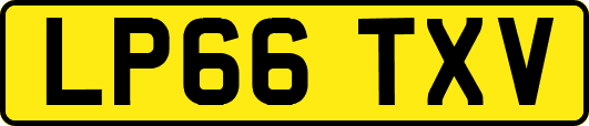 LP66TXV