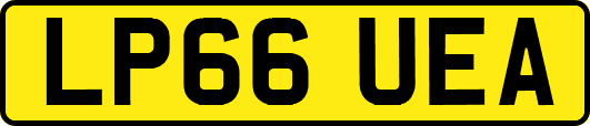 LP66UEA