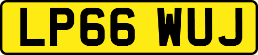 LP66WUJ