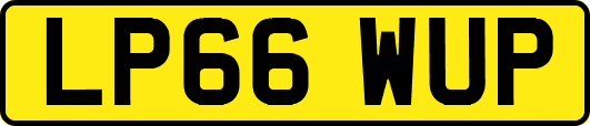 LP66WUP