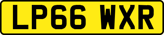 LP66WXR