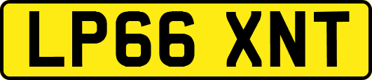 LP66XNT