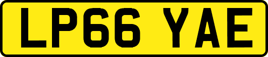 LP66YAE