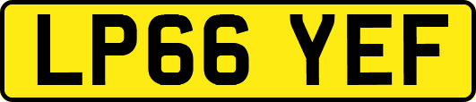 LP66YEF
