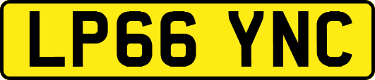 LP66YNC