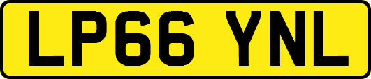 LP66YNL