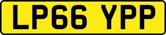 LP66YPP