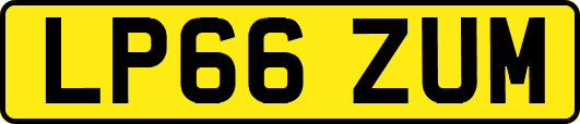 LP66ZUM
