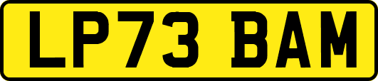 LP73BAM