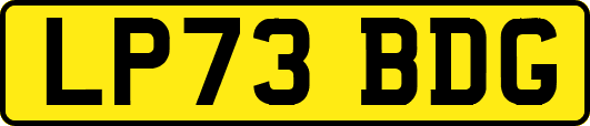 LP73BDG