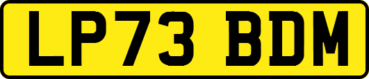 LP73BDM