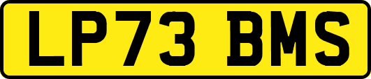 LP73BMS