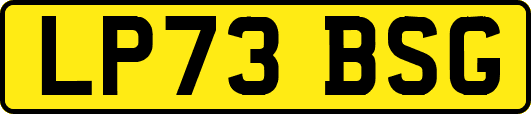 LP73BSG