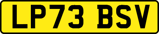 LP73BSV