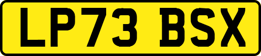 LP73BSX
