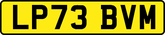 LP73BVM