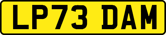 LP73DAM