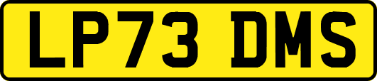 LP73DMS