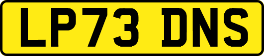 LP73DNS