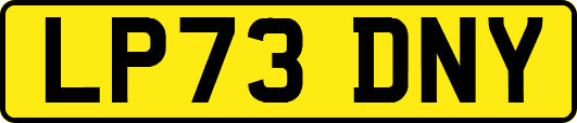 LP73DNY