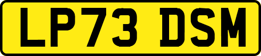 LP73DSM