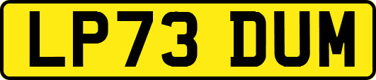 LP73DUM