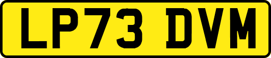 LP73DVM