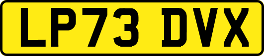 LP73DVX